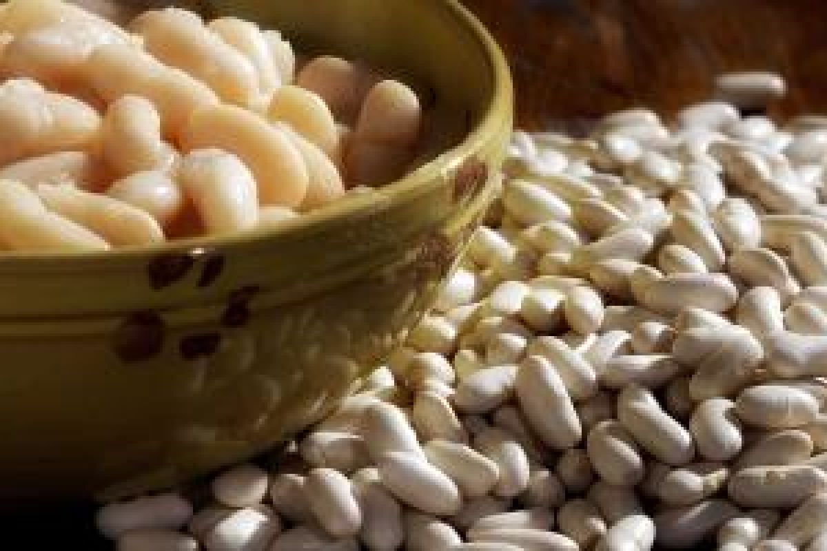 Fagiolo cannellino di San Ginese