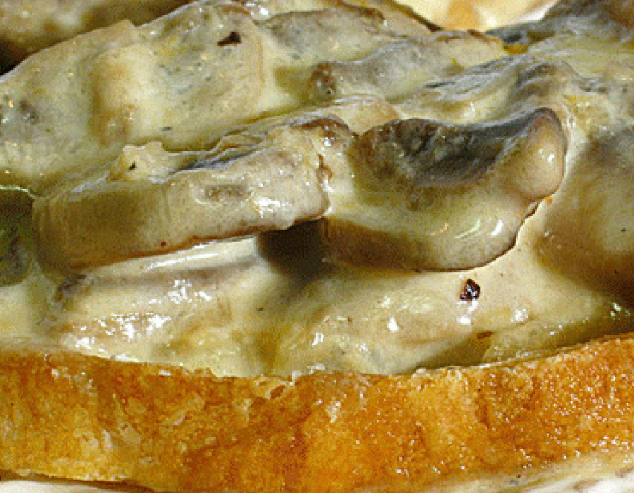 Crostoni di funghi alla besciamella