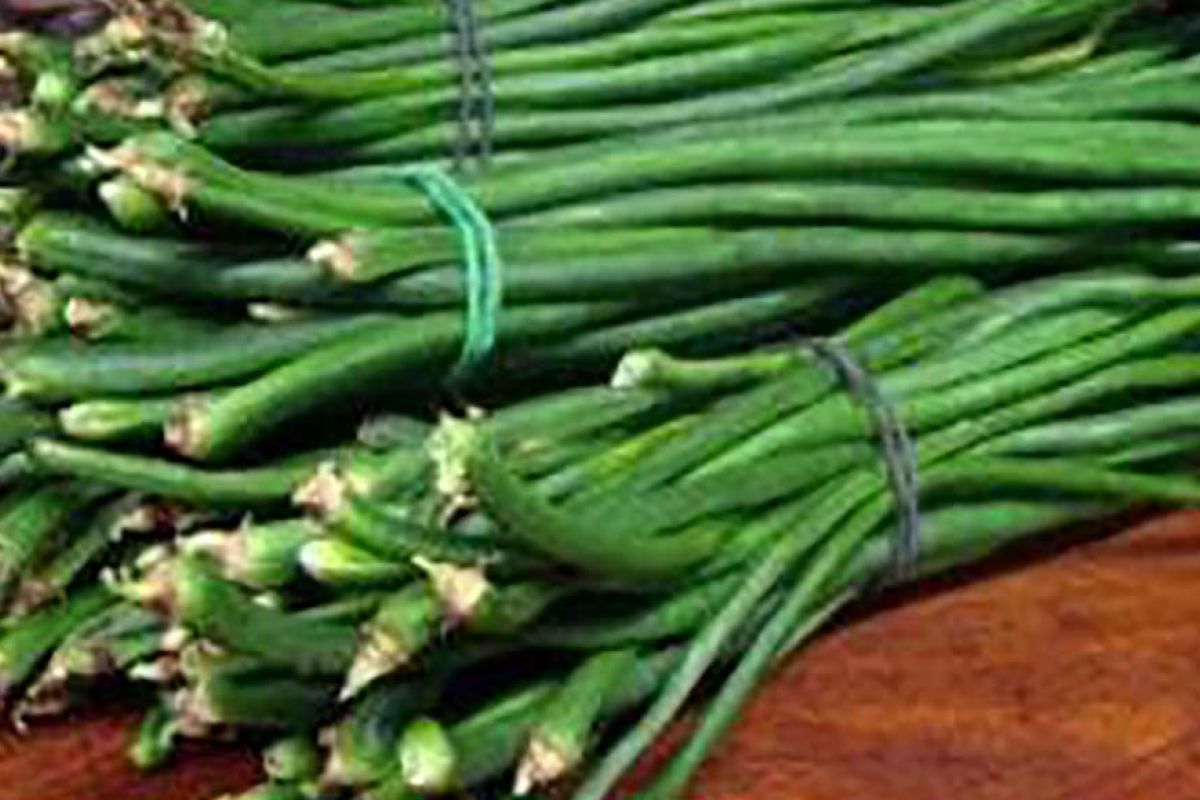 Fagioli a stringa