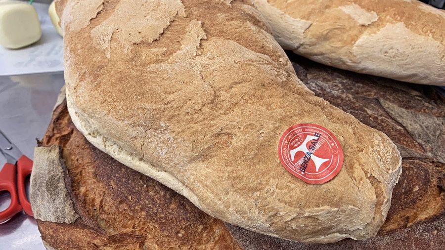 Pane di Altopascio