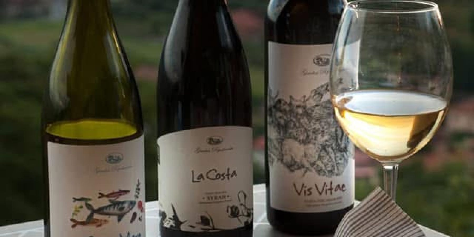 Bottiglie di vino e salumi RipaVersilia