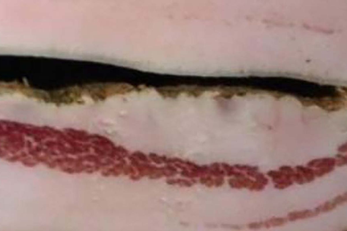 Lardo di Camiore