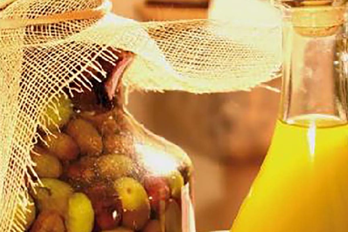 olio dop