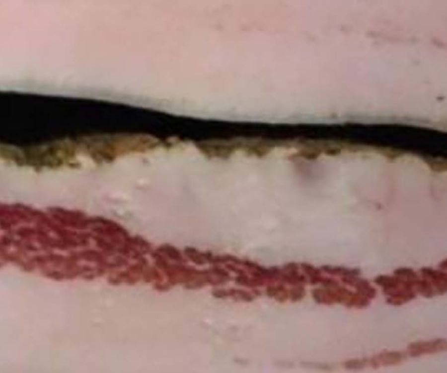 Lardo di Camiore