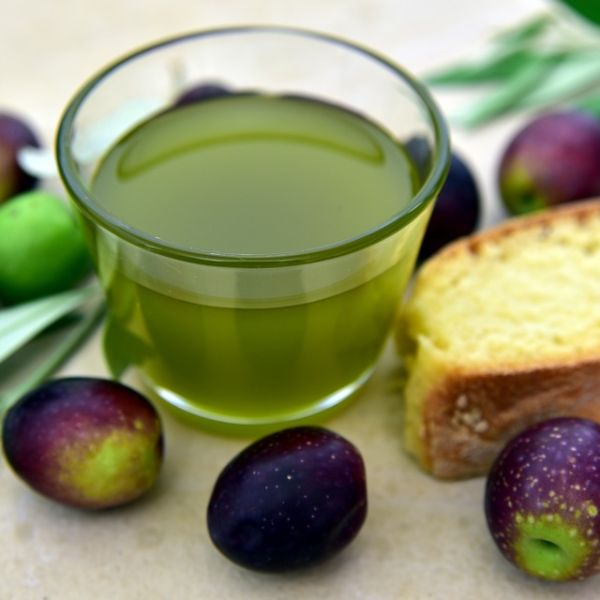 Olio nuovo dei Monti Pisani