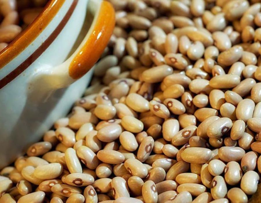 fagiolo giallo della garfagnana