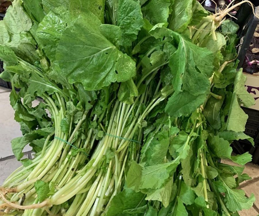 Rapini