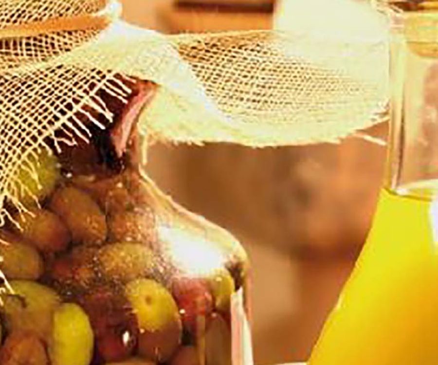 olio dop