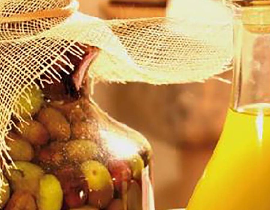 olio dop