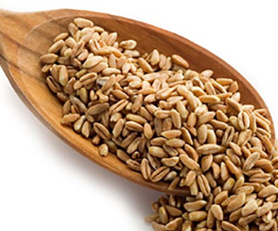 farro con mestolo