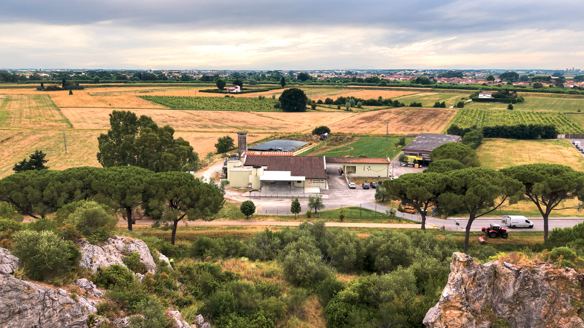 Frantoio monte pisano