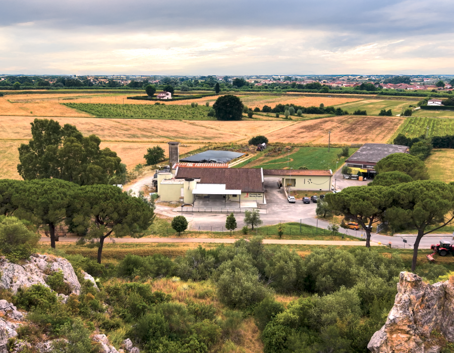 Frantoio monte pisano