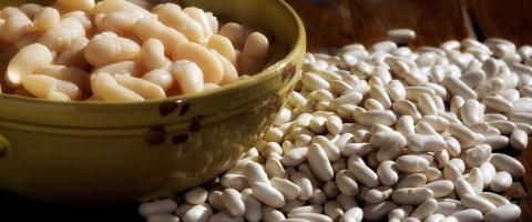 Fagiolo cannellino di San Ginese