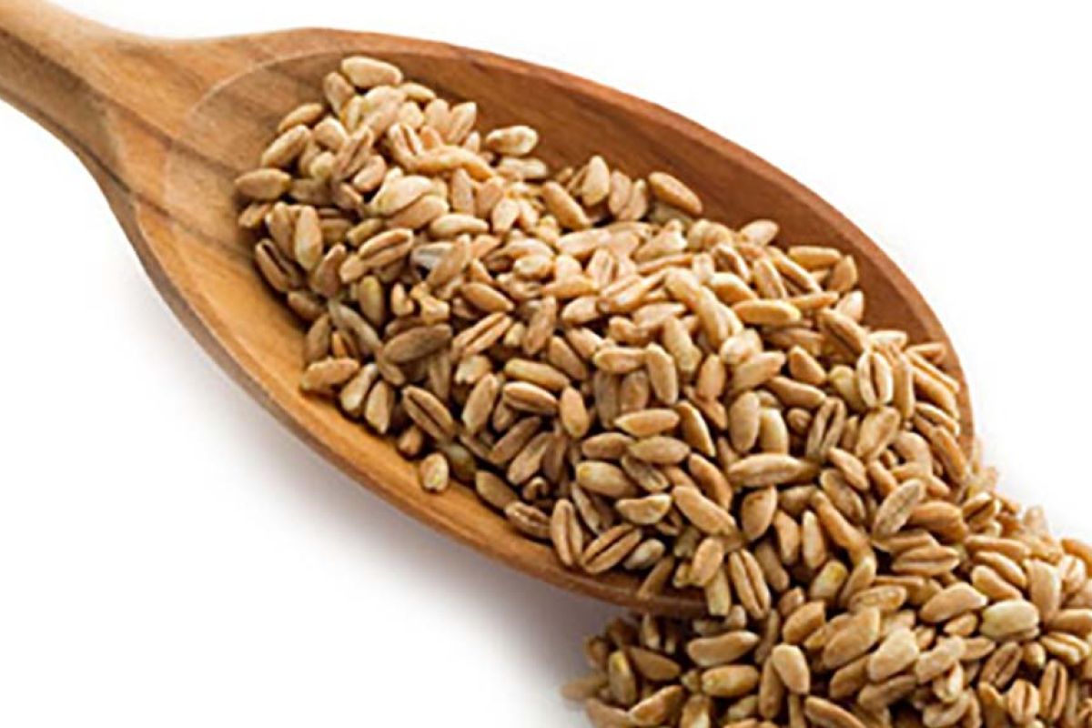 farro con mestolo