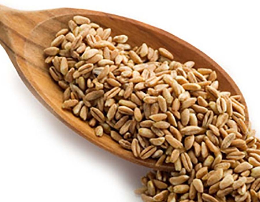 farro con mestolo