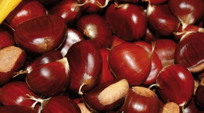 Castagne garfagnana