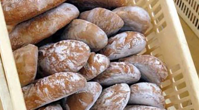 Pane di Altopascio tradizionale