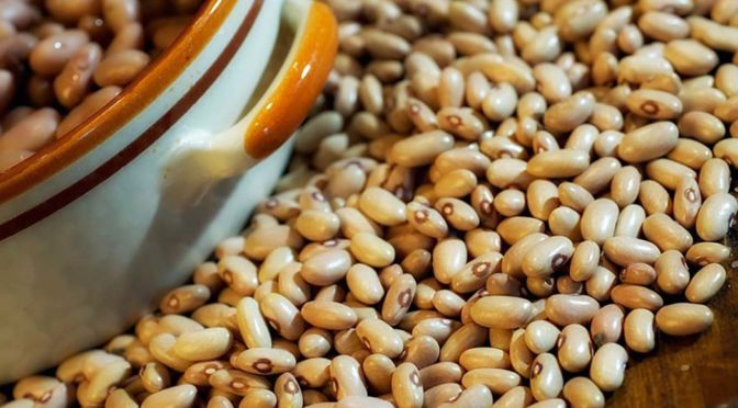 fagiolo giallo della garfagnana