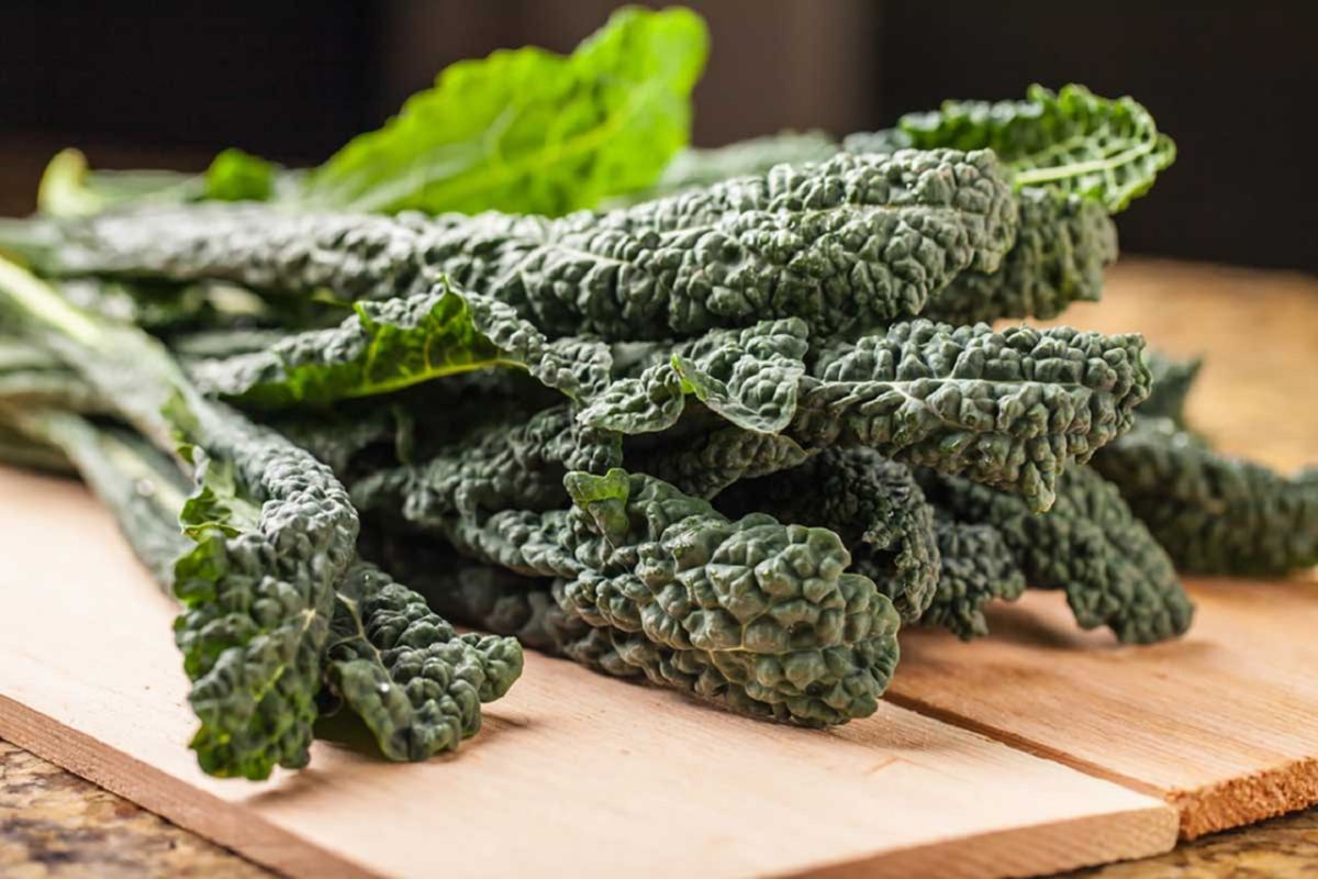 Cavolo riccio nero