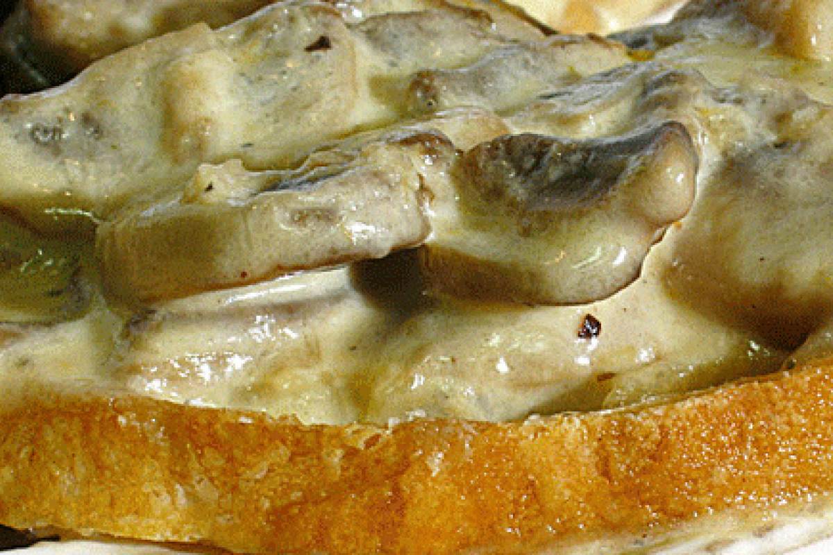 Crostoni di funghi alla besciamella