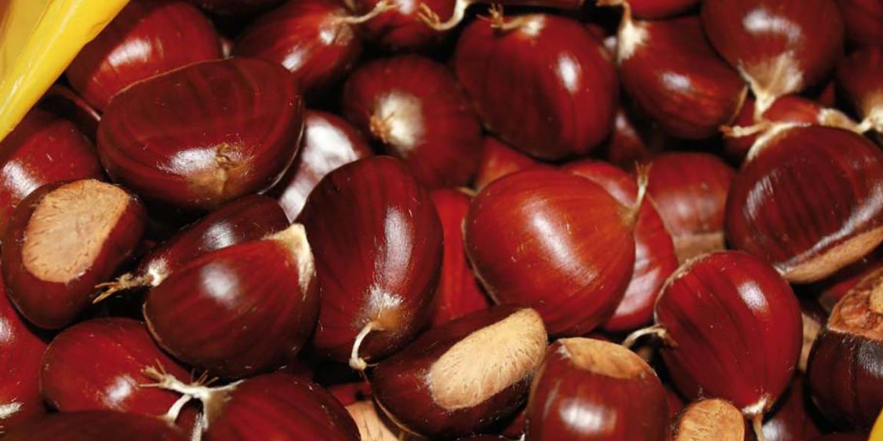 Castagne garfagnana