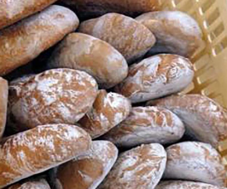 Pane di Altopascio tradizionale
