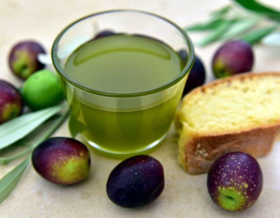 Olio nuovo dei Monti Pisani