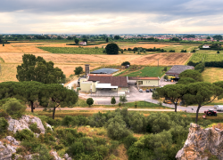 Frantoio monte pisano