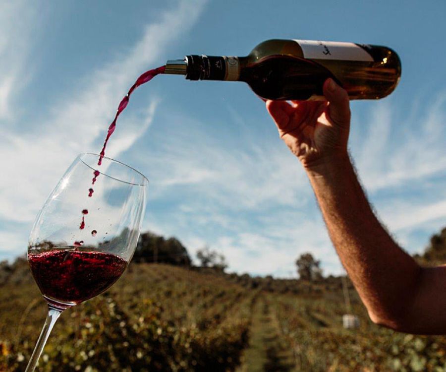 bottiglia di vino che viene versata in un bicchiere all'aperto