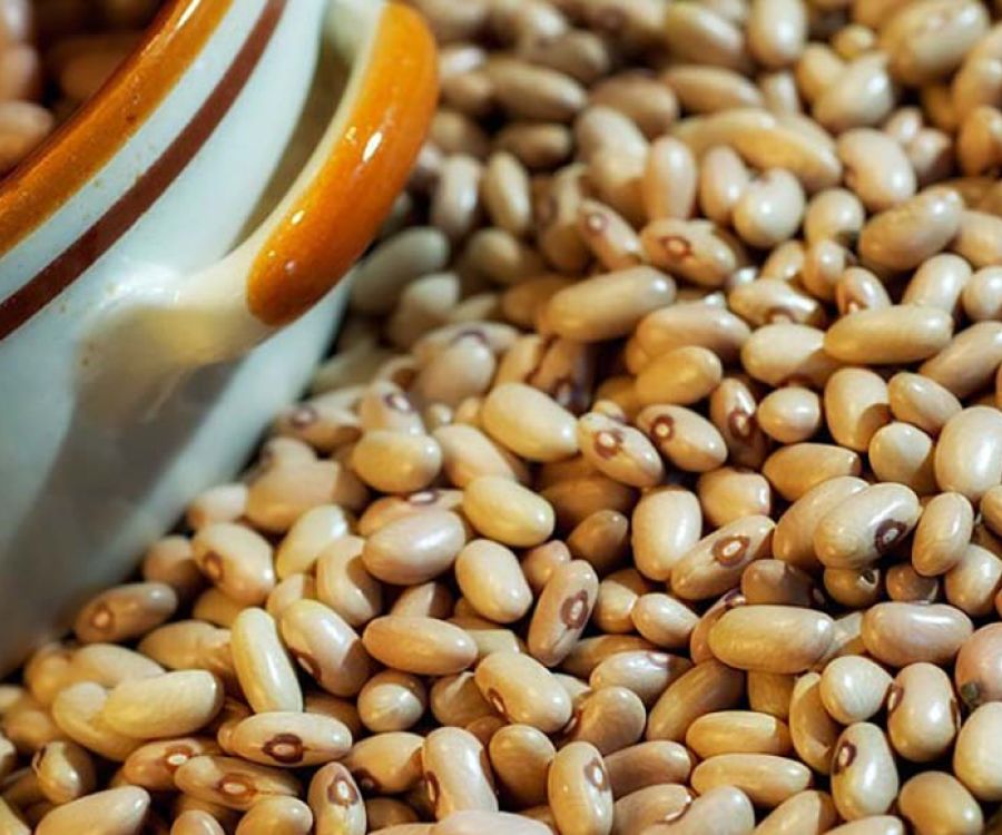 fagiolo giallo della garfagnana