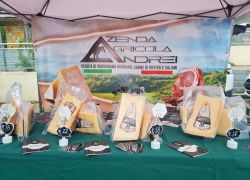 parmigiano