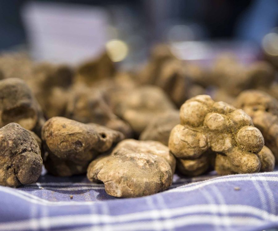 Tartufo di San Miniato