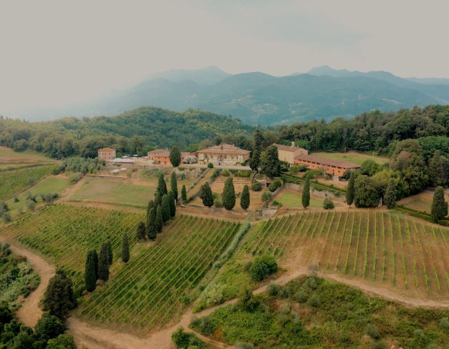 tenuta di Forci dall'alto