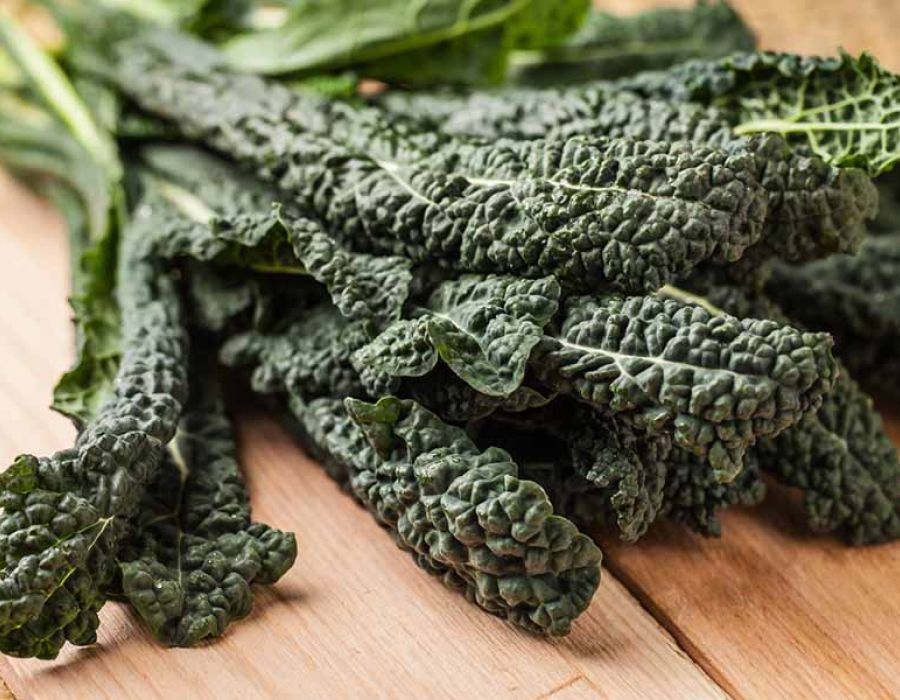 Cavolo riccio nero di Lucca o braschetta