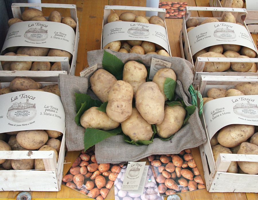 Patata di Santa Maria a Monte