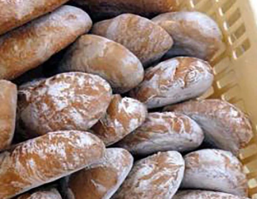 Pane di Altopascio tradizionale