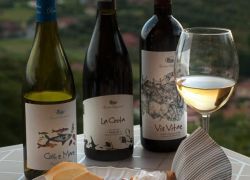 Bottiglie di vino e salumi RipaVersilia