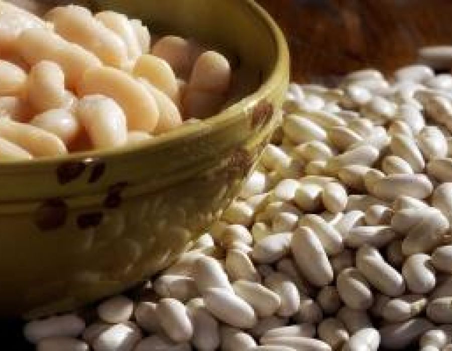 Fagiolo cannellino di San Ginese