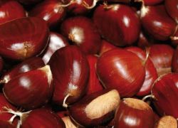 Castagne garfagnana